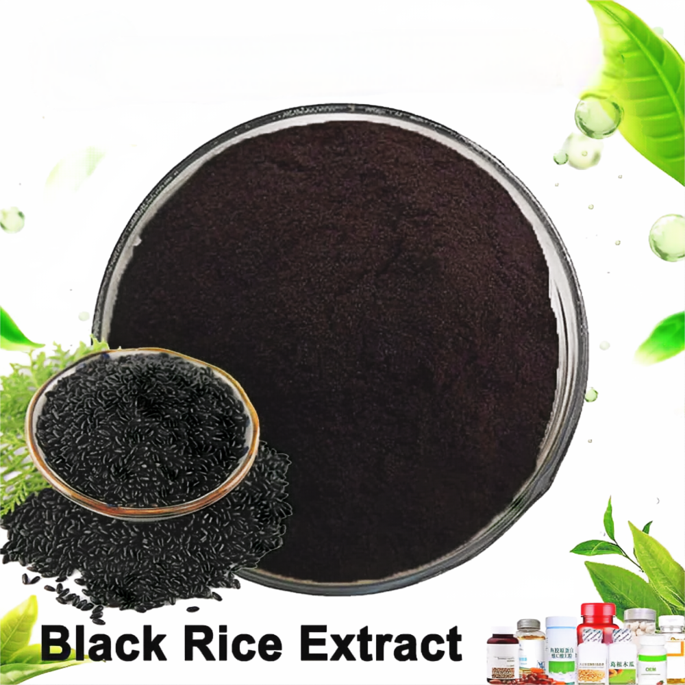 Black Rice Extract, Antioxidant Black Rice Anthocyanins, Black Rice Anthocyanidin Powder Purple to Black Powder