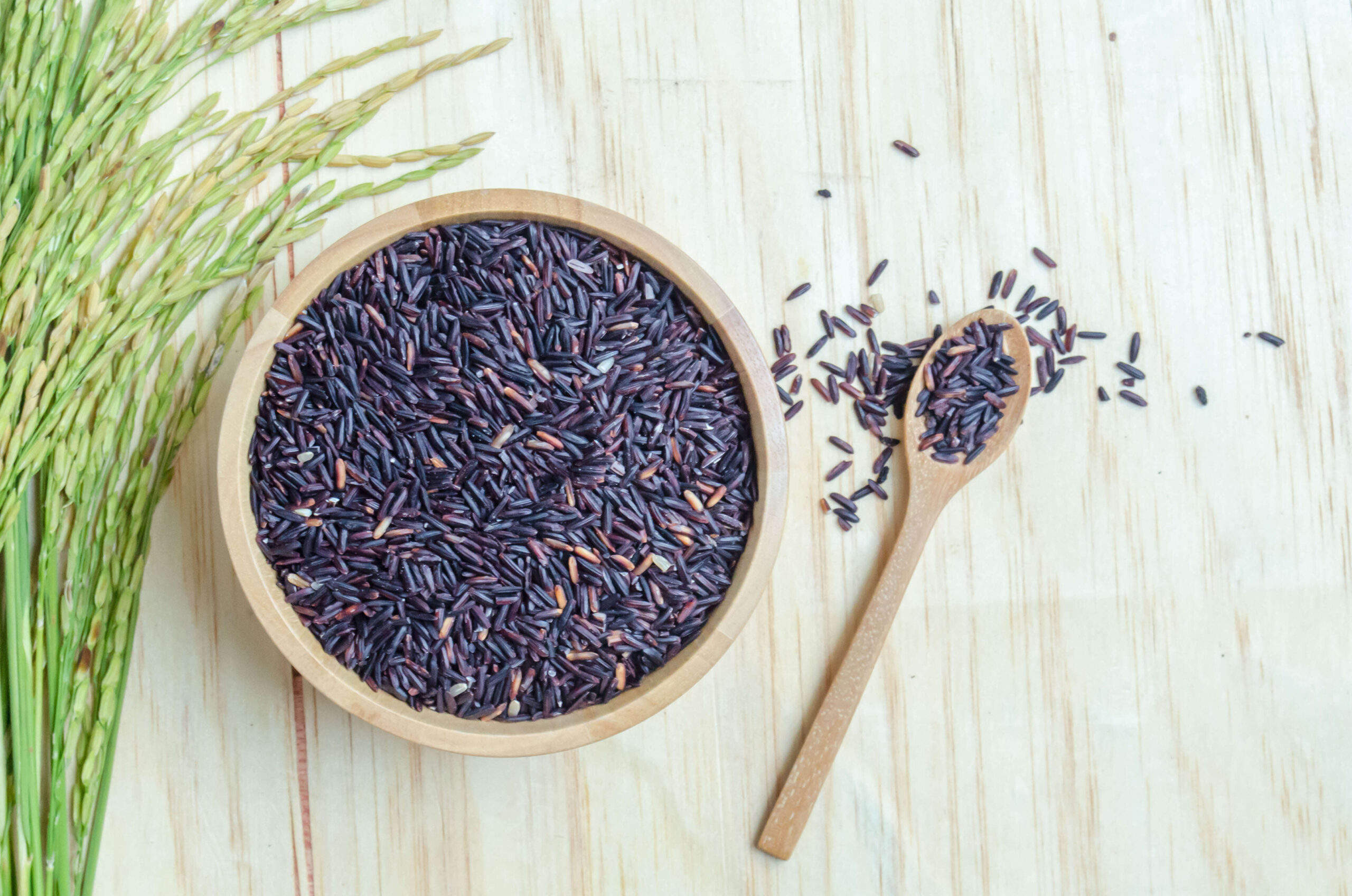 Antioxidant Black Rice Anthocyanins, Black Rice Extract, Black Rice Anthocyanidin Powder