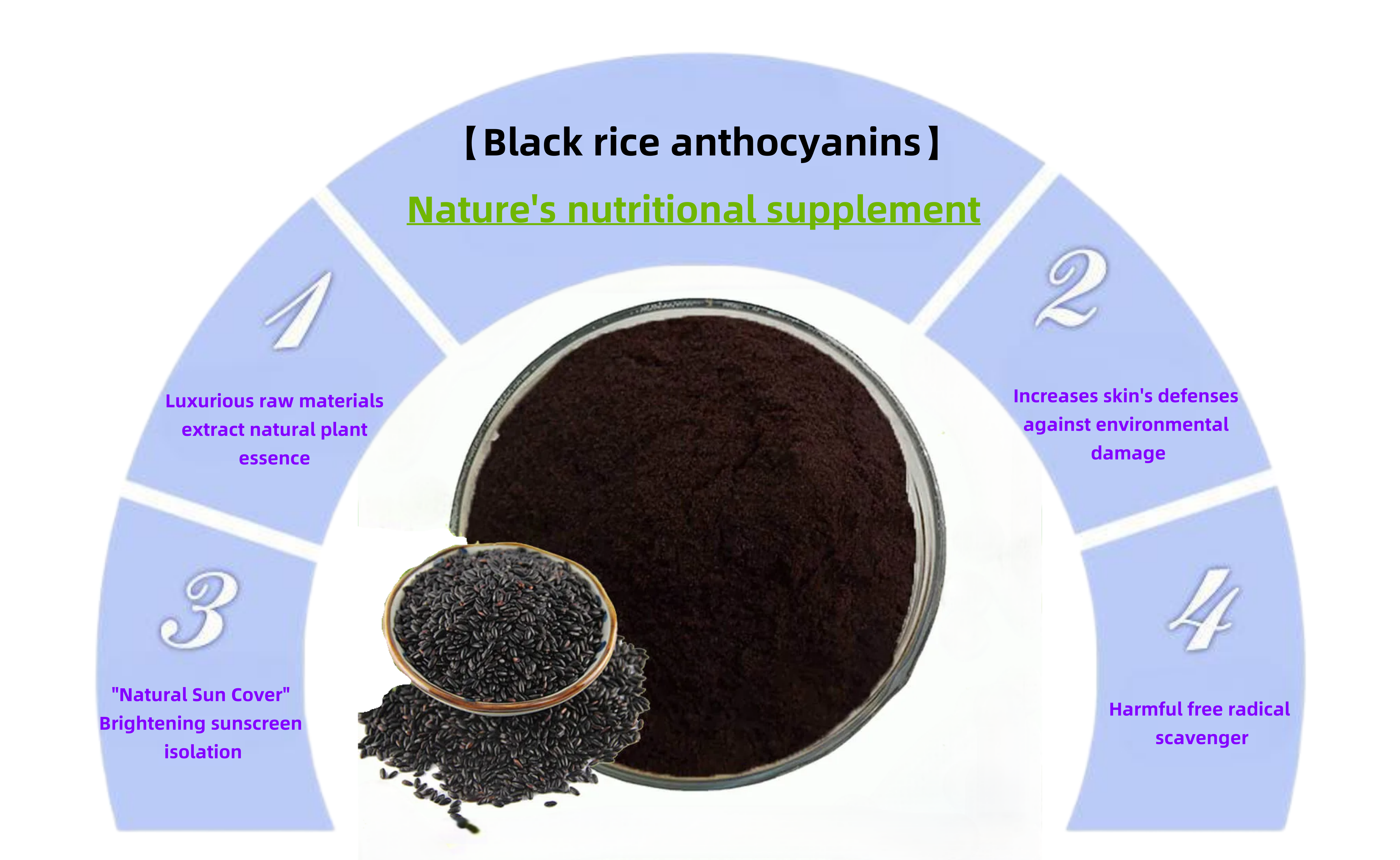 Black Rice Extract Powder 5% 20% 25% 30% Anthocyanidin Anthocyanins Food Grade Antioxidant Black Rice Extract Purple Red Powder