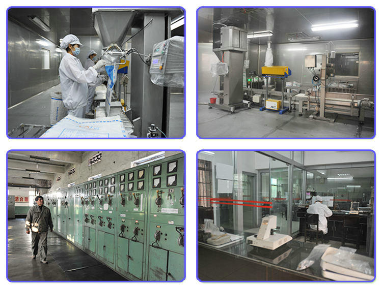 Creatine Monohydrate CAS 6020-87-7 High Purity Wholesale Creatin Monohydrate Powder Nutrition Supplements