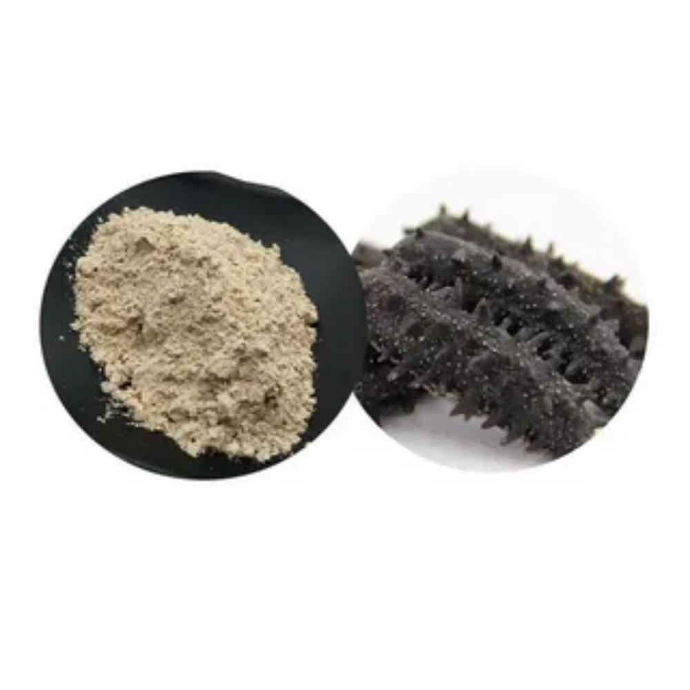 Hot Selling Sea Cucumber Peptide Powder for Food High Purity Factory Price Low MOQ for Daily Chemicals Raw Material Hot Selling Sea Cucumber Peptide Powder for Food High Purity Factory Price Low MOQ for Daily Chemicals Raw Material