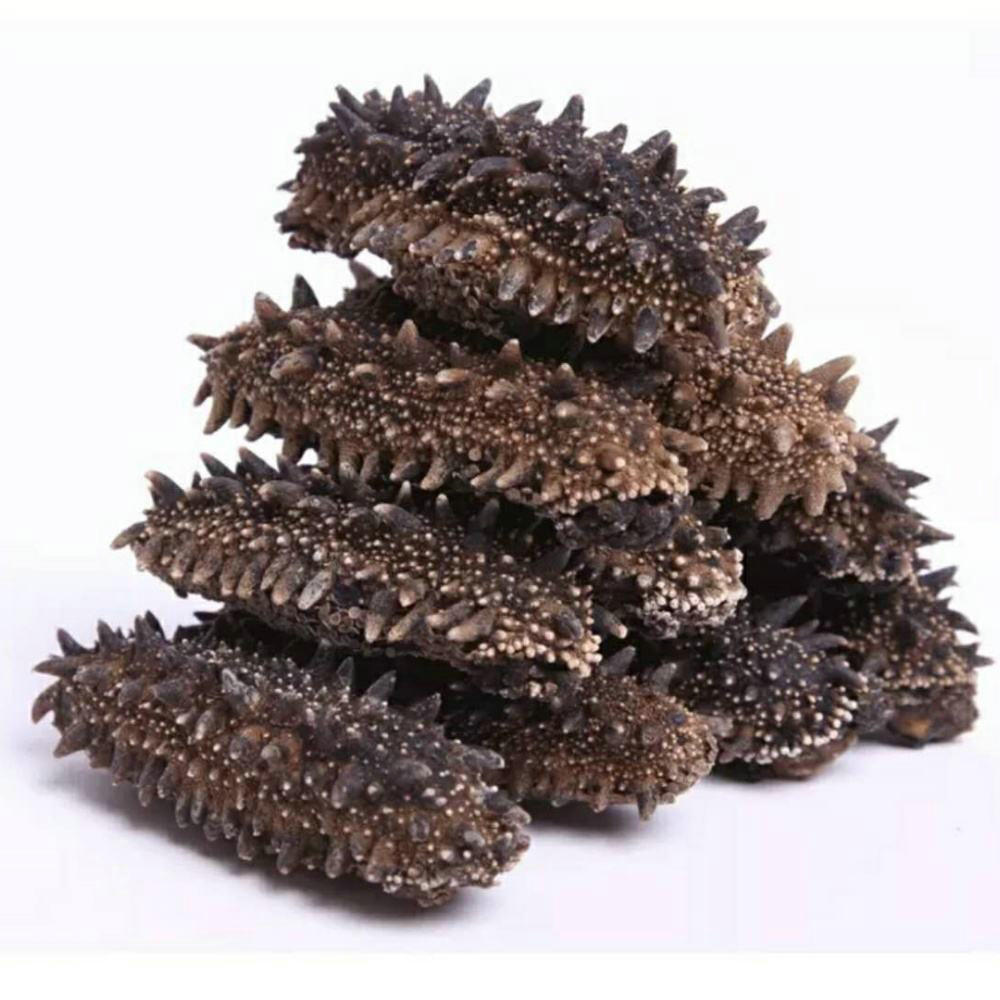 High Quality Sea Cucumber Peptides Powder 90% Sea Cucumber Extract Healthcare Supplement Sea Cucumber Peptides Powder for Sale