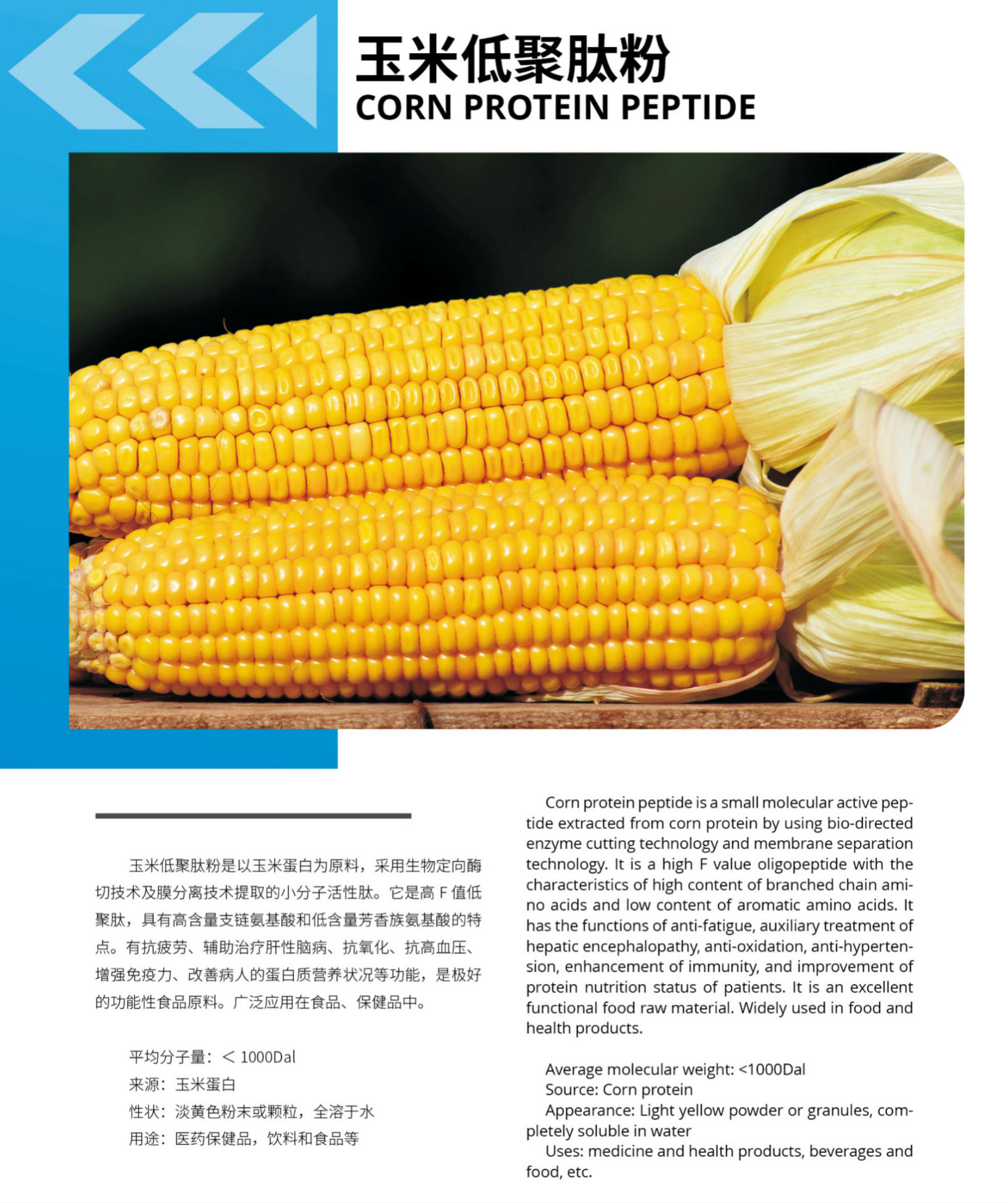 Food Grade Vital Proteins Collagen Peptides Powder Pure Corn Protein Extracted From Plants Herbal Extract Powder