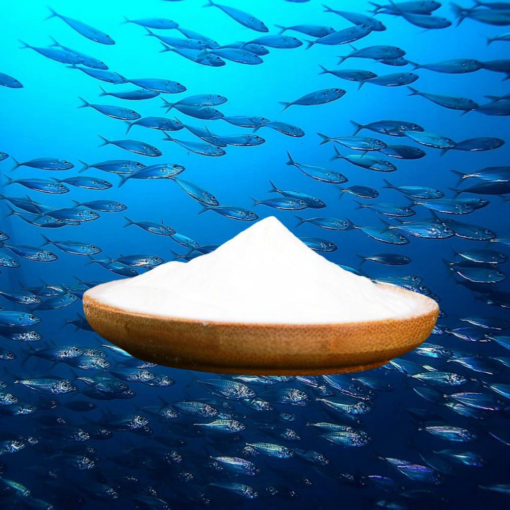 High Quality Health Care Slimming Vital Proteins Collagen Peptides Fish Peptides Collagen Peptides Powder