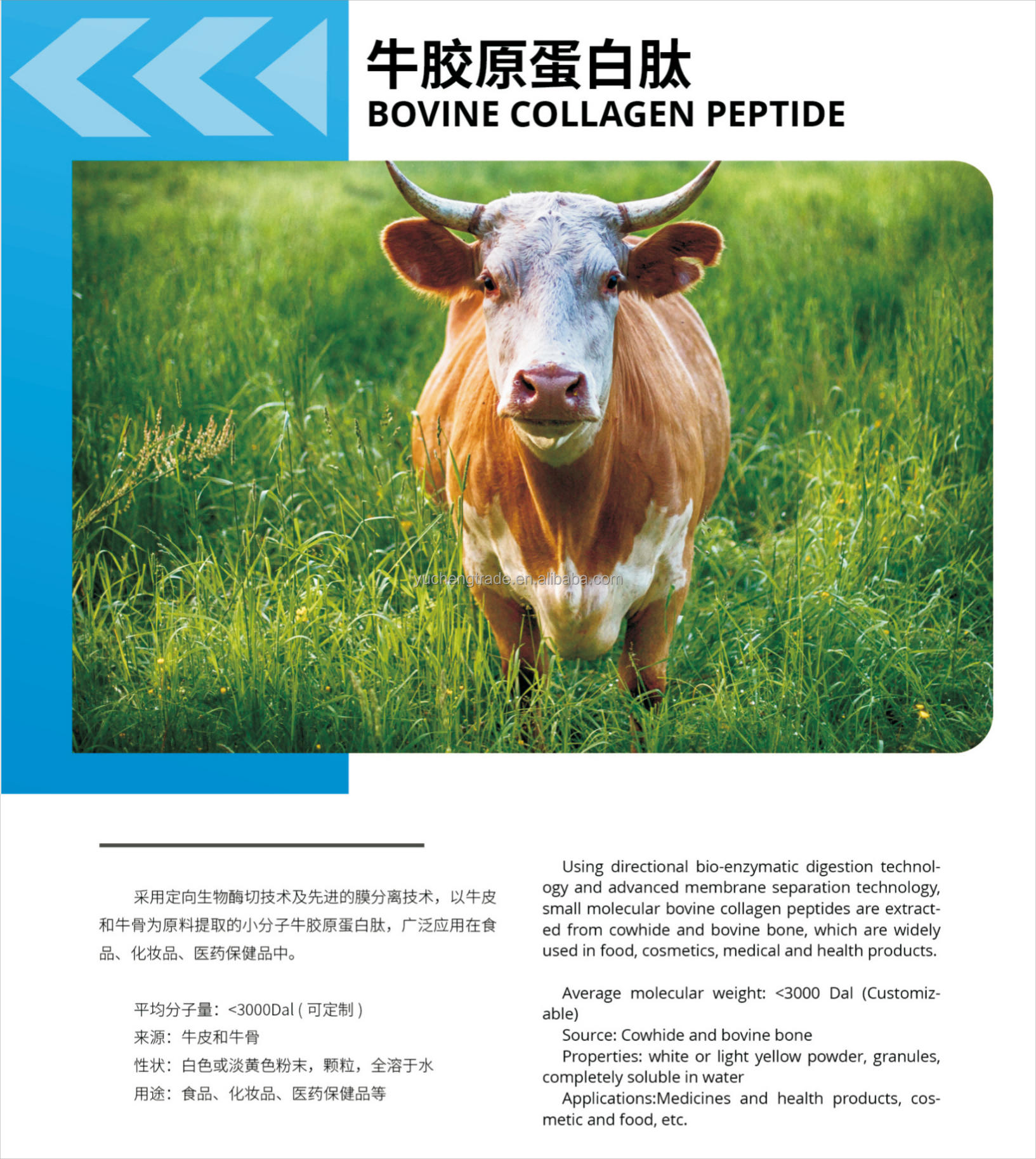 Manufacturer's Hydrolyzed Bovine Bone Collagen Peptides Healthy Food Grade Vital Proteins Supplement Halal Collagen Skin Type Manufacturer's Hydrolyzed Bovine Bone Collagen Peptides Healthy Food Grade Vital Proteins Supplement Halal Collagen Skin Type