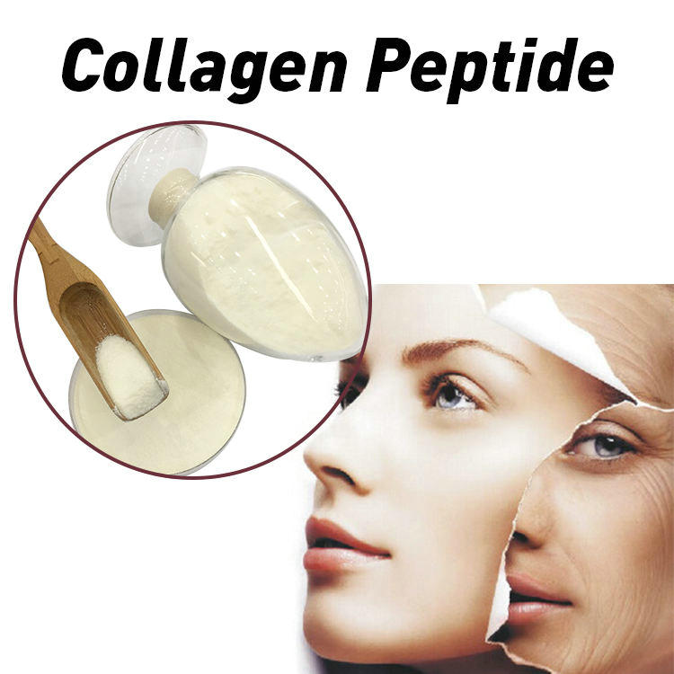Vital Proteins Collagen Peptides Hydrolyzed Grass Fed Pasture Raised Beef Heart Tube Elastic Collagen Peptide Powder