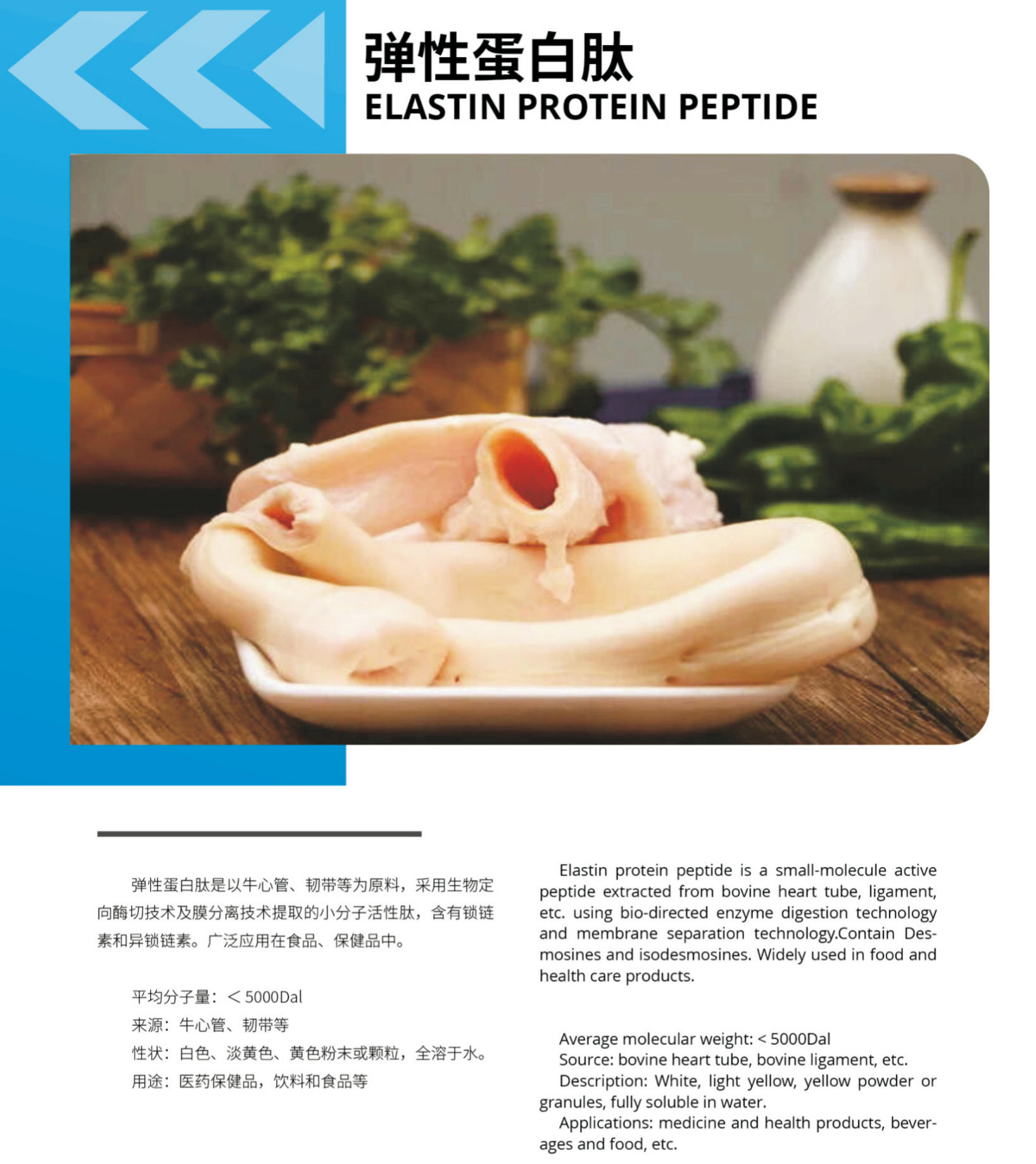 Vital Proteins Collagen Peptides Collagen Peptides Beef Bovine Heart Tube Elastic Collagen Peptides Powder